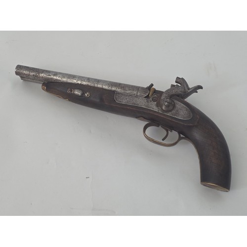 Large double barreled percussion pistol. 19th century.