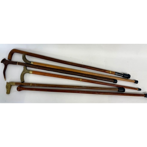 99 - Six collectors walking canes, mostly early 20th century. To include a bronze Cobra head, brass horse... 