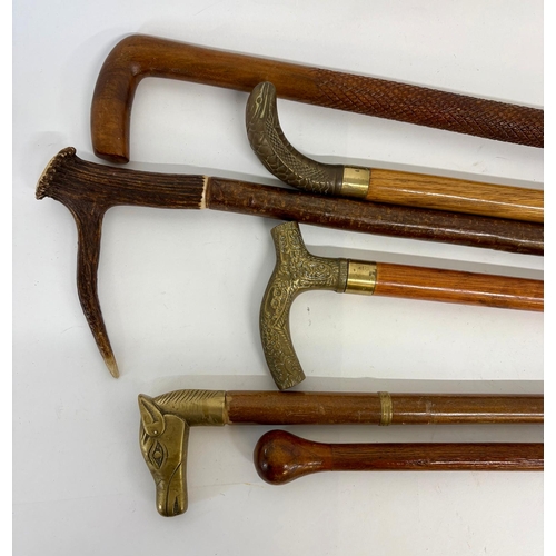 99 - Six collectors walking canes, mostly early 20th century. To include a bronze Cobra head, brass horse... 