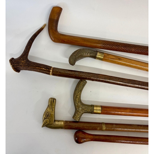 99 - Six collectors walking canes, mostly early 20th century. To include a bronze Cobra head, brass horse... 
