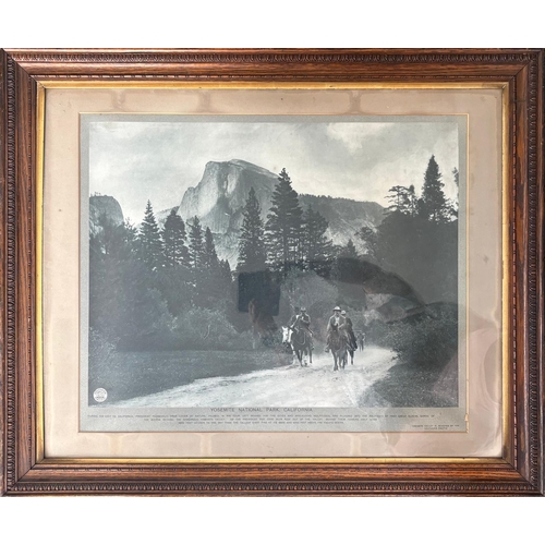 Lot 55        