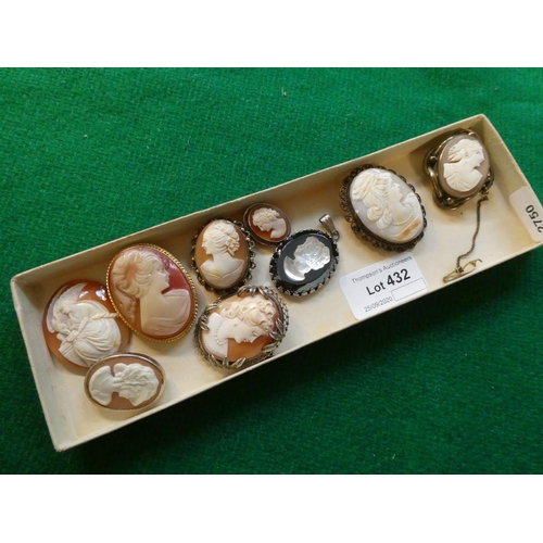 432 - 9 Cameo brooches/pendants