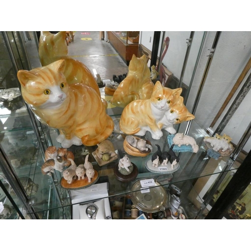 459 - Shelf of cat ornaments inc. Border Fine Arts, Aynsley etc