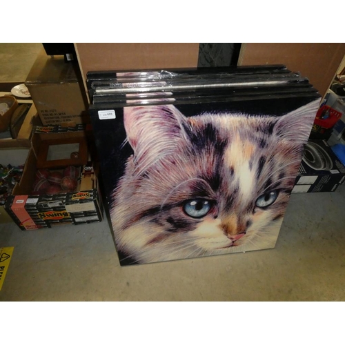 609 - 7 Cat prints (ex shop stock)