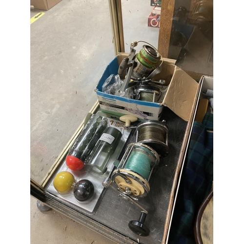 Lot 281       
