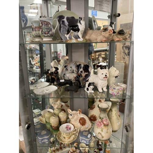 437 - 3 Shelves of mainly Border collie & Dachshund collectables inc. Goebel, Royale Stratford, 2 Wedgwood... 