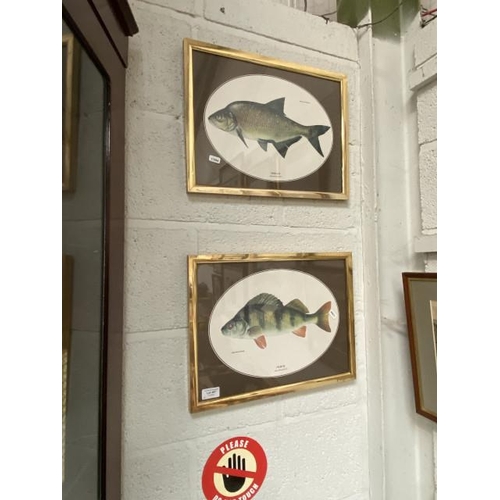 467 - Pair of Norman Weaver fish prints 