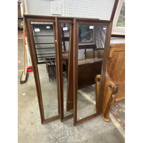 94 - 3 French framed dressing mirrors 128H x 43Wcm