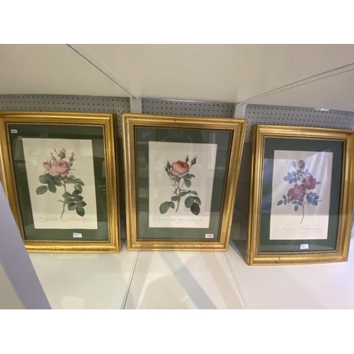 182 - 3 gilt framed prints of Roses 47x60cm