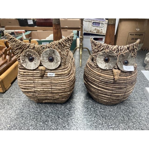 235 - 2 Wicker owl garden planters