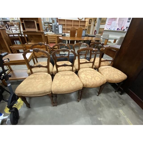 155 - 5 + 3 Victorian mahogany dining chairs (40W cm)