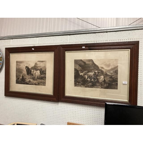 337 - 2 Edw. oak framed cattle etchings 