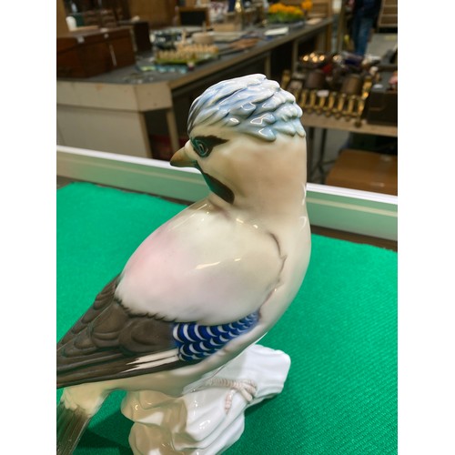 364 - Karl Ens porcelain Jay (9