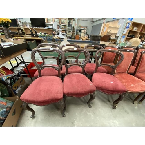 181 - 6 Victorian mahogany balloon back chairs 43W