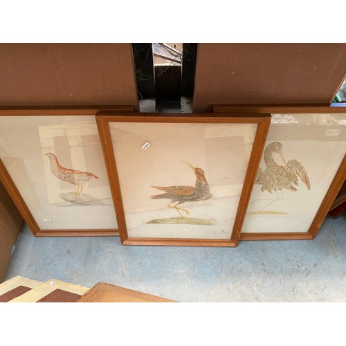 502 - 4 framed watercolours of birds Inc. Curlew, 2 medieval prints  etc.