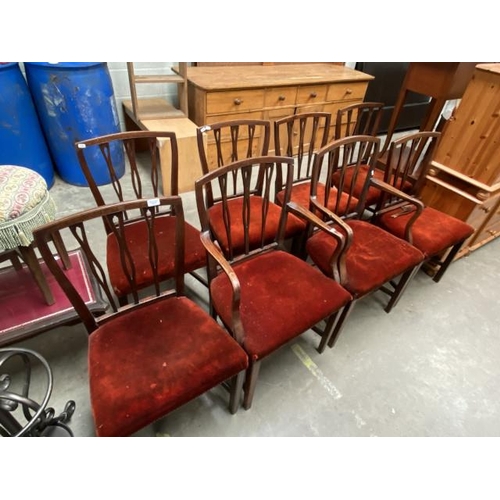 30 - 8 Victorian mahogany dining chairs including 2 carvers 56W (as found)