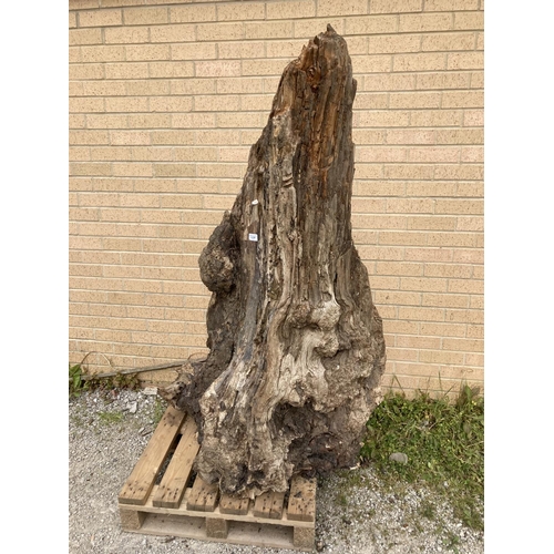 668 - Driftwood sculpture 155H 100W 75D