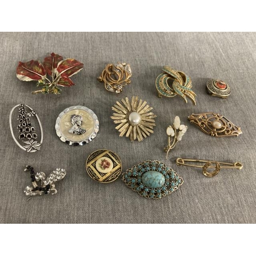 348 - 13 vintage costume brooches