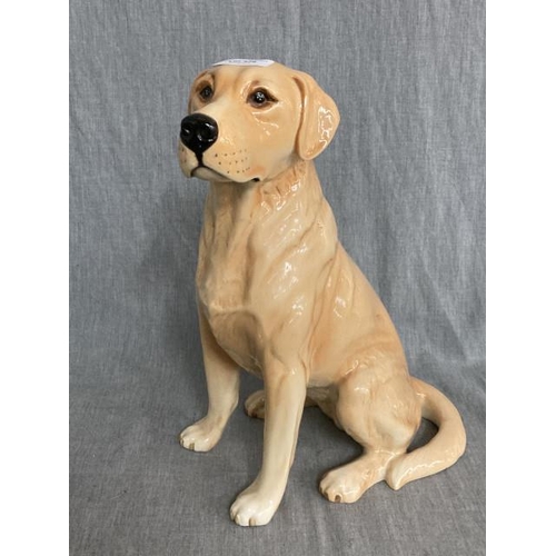 426 - Beswick sitting golden Labrador 35cm H