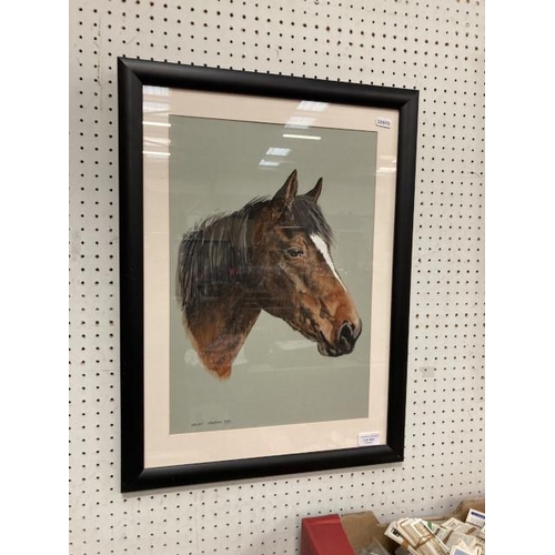 462 - Framed Lesley Dawson watercolour portrait of a horse 62x45cm