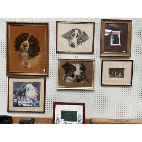 358 - 6 framed canine pictures inc. Reuben Ward Binks aquatint,  & gundog themed picture frame 28x24cm