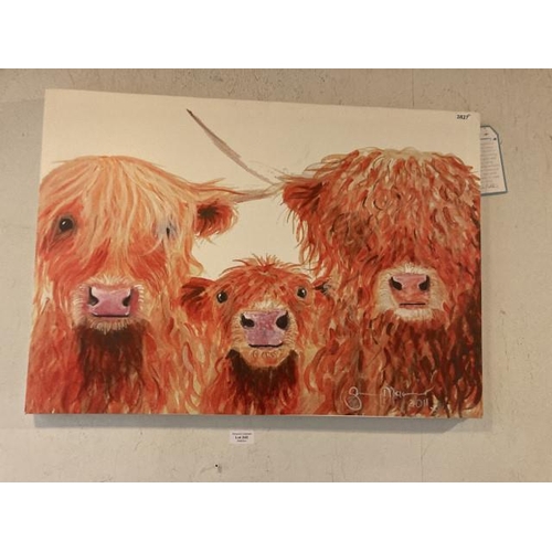 243 - Shirley Macarthur highland cow canvas art