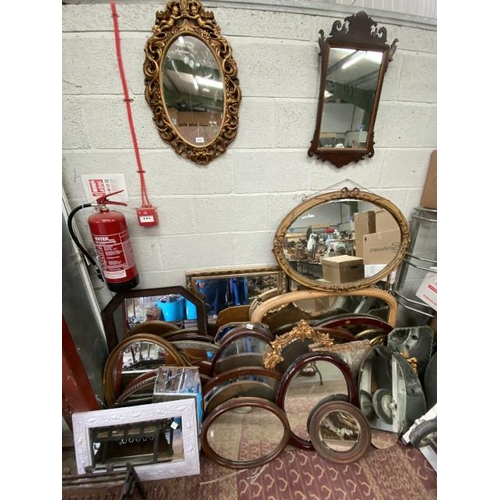 Lot 180       