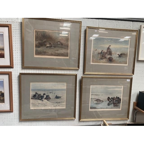 374 - 4 gilt framed pencil signed Archibald Thorburn pictures 66x56cm