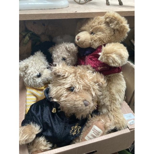 403 - 6 Georgio Armani & 2 Harrod's teddy bears