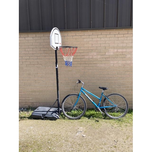 510 - Freestanding basketball hoop and a San Diego Concept mountain bike