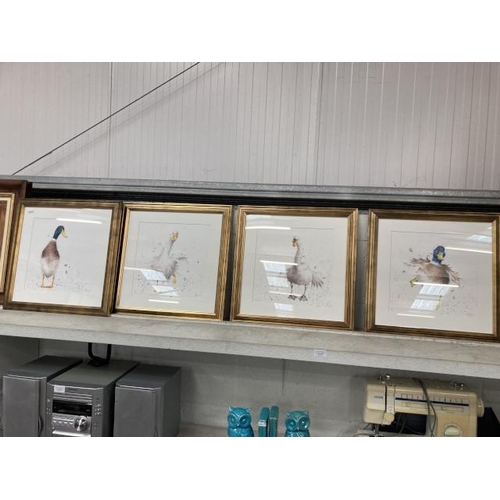 369 - 4 framed duck & swan prints signed by A V Whale