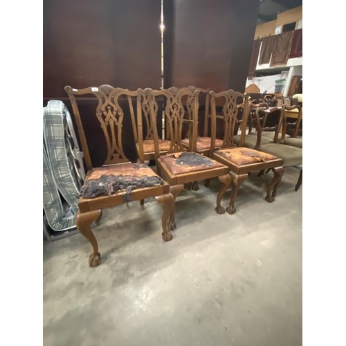 40 - 5 Georgian walnut dining chairs including 1 carver 54W