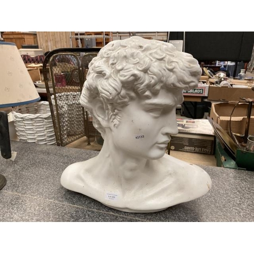 202 - Bust of David by Michelangelo 47W 46H