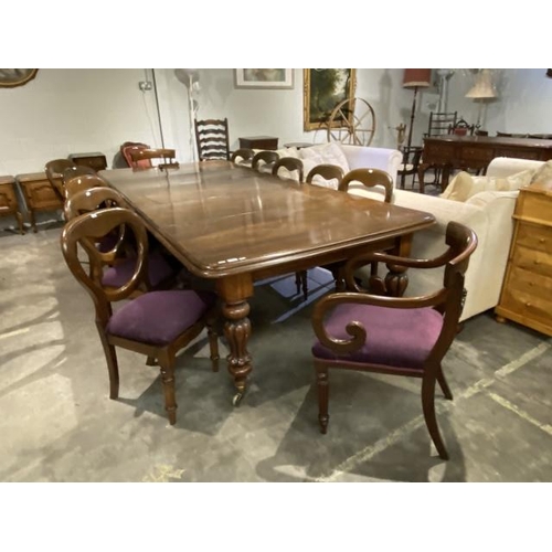 124 - Victorian mahogany wind out dining table with 3 leaves and winder 76H 290W 130D and 12 chairs includ... 