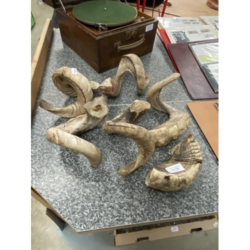 198 - 3 pairs of rams horns