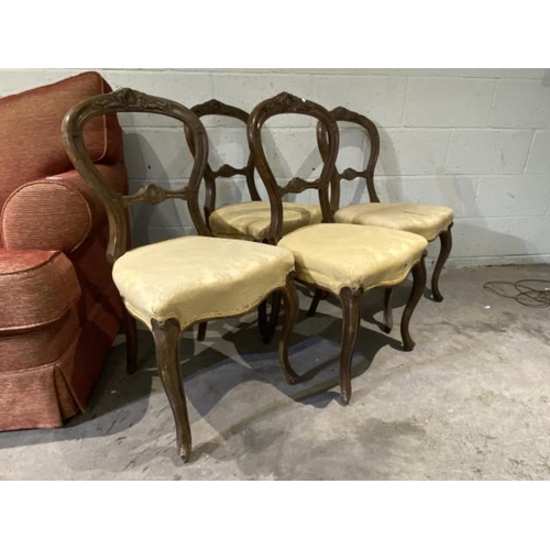 24 - 4 Victorian mahogany balloon back chairs 45W