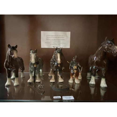 366 - 5 Shire horses inc. 2 Melba Ware