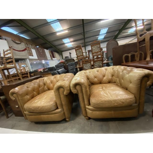 193 - 2 tan leather button back Chesterfield club chairs (some fading to the leather) 107W