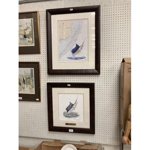 392 - 2 framed pencil signed Steve Whitlock prints of Sailfish 44x46cm & 59x49cm