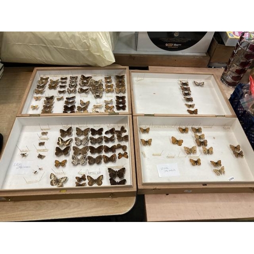 466 - 2 boxes of assorted butterfly specimens