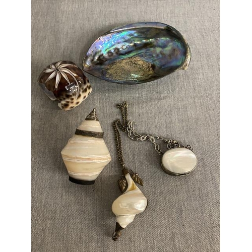 269 - 5 pieces of natural shell collectables inc. mother of pearl, Victorian, Paua shell etc.