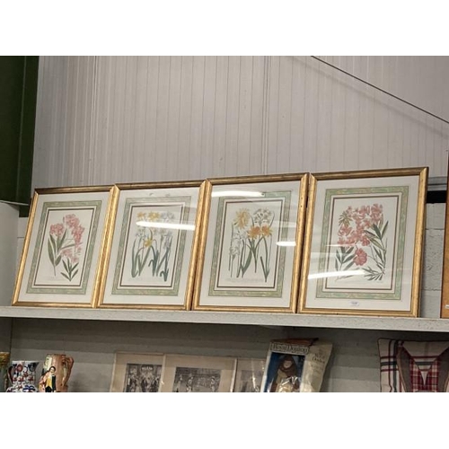 297 - Set of 4 gilt framed botanical prints 60x50cm