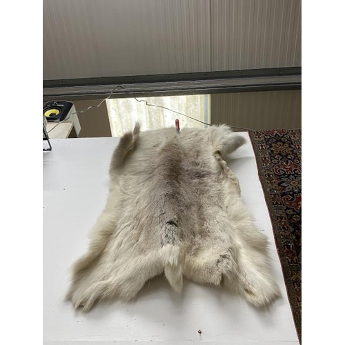 268 - Reindeer hide 83 x 136cm (as found)