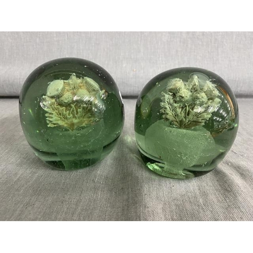 336 - 2 19th century green glass dumps/paperweights with vase of thistles design 10.5cmH