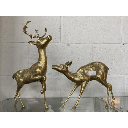 432 - Brass Stag & Doe 42H