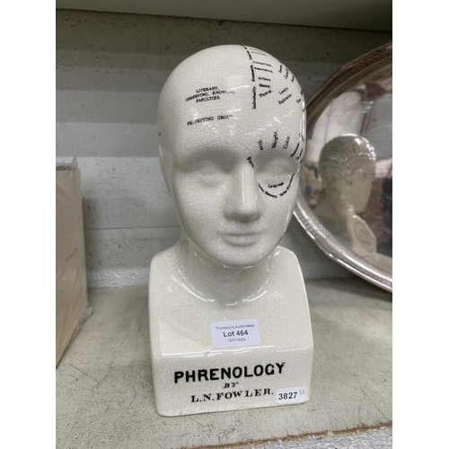 464 - Phrenology head