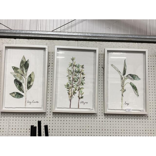 329 - 3 framed watercolours 'Thyme', 'Bay Leaves' and 'Sage' signed RESB 30 x 46cm