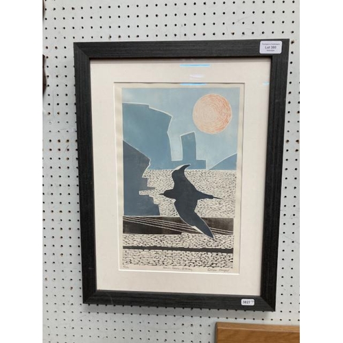 360 - Framed pencil signed Lisa Hooper print 'Arctic Skua, Orkney' 9/12 40x52cm