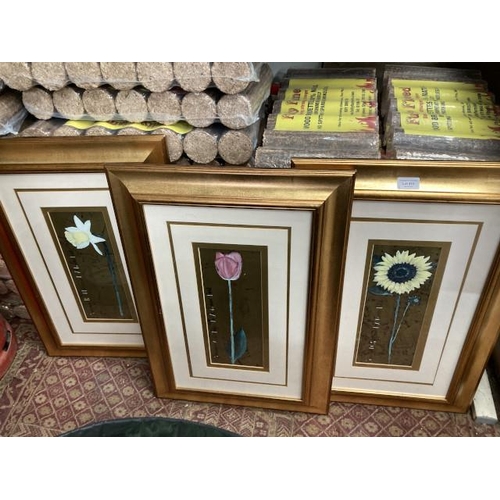 410 - 3 gilt framed prints of Narcissus, Tulip and Sunflower 67H 46W