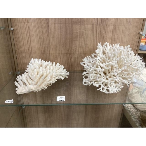 249 - 2 pieces of coral